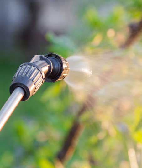 LinkNow Media Residential Lawn Pest Control