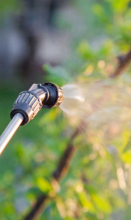 LinkNow Media Residential Lawn Pest Control