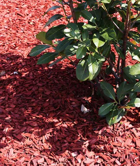 LinkNow Media Residential Mulching