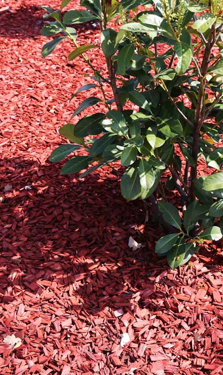 LinkNow Media Residential Mulching