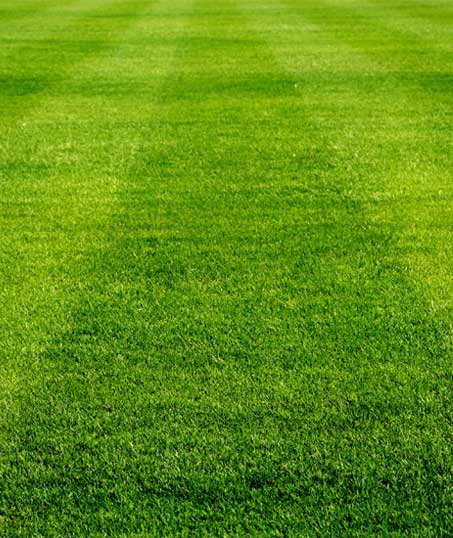 LinkNow Media Residential Aeration