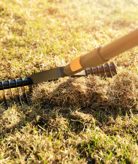 LinkNow Media Residential Lawn Dethatching