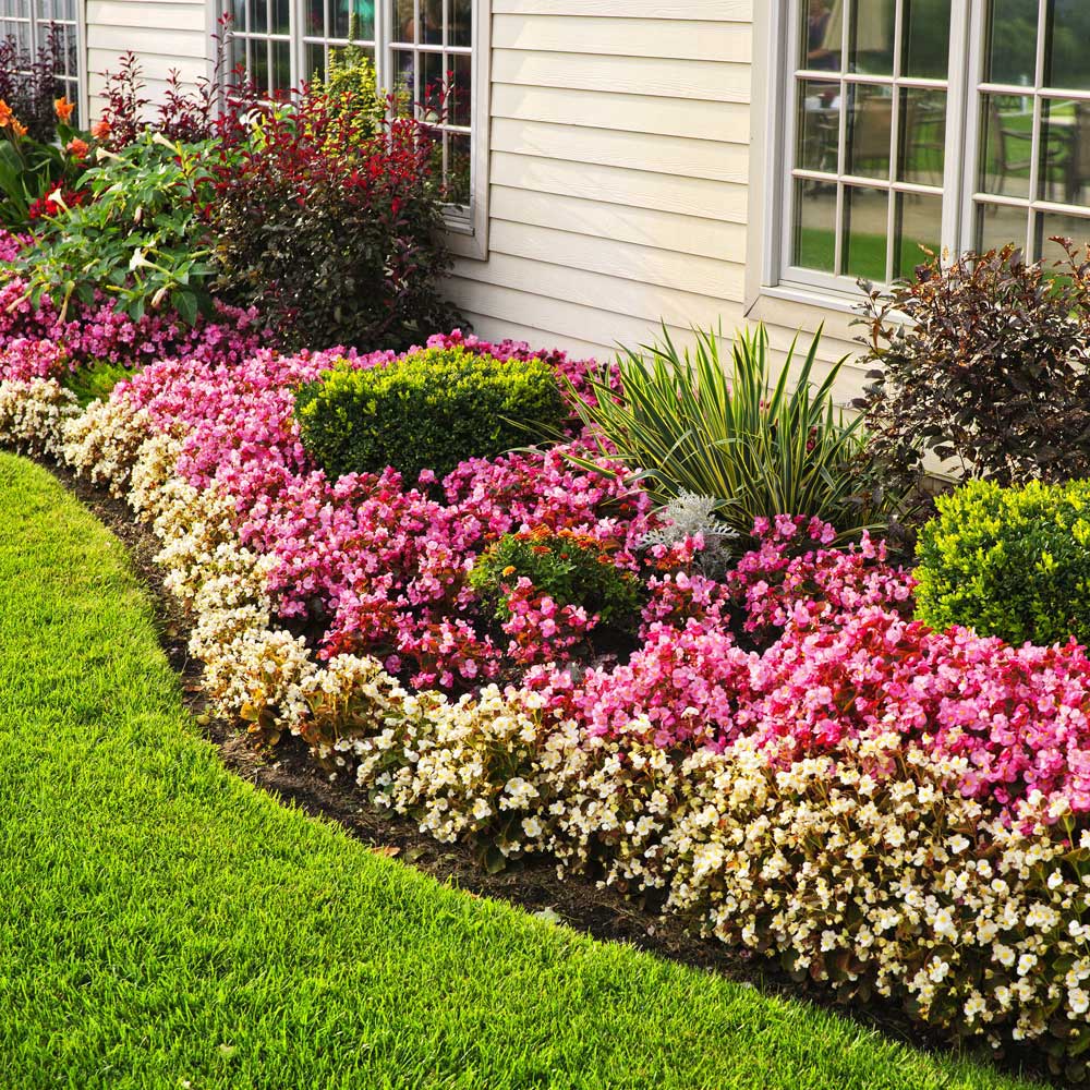 Residential Garden Design Service