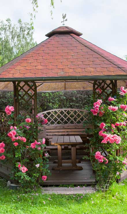 LinkNow Media Pergola